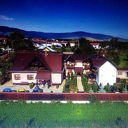 Pensiunea Denisa Sacalusesti Exterior foto
