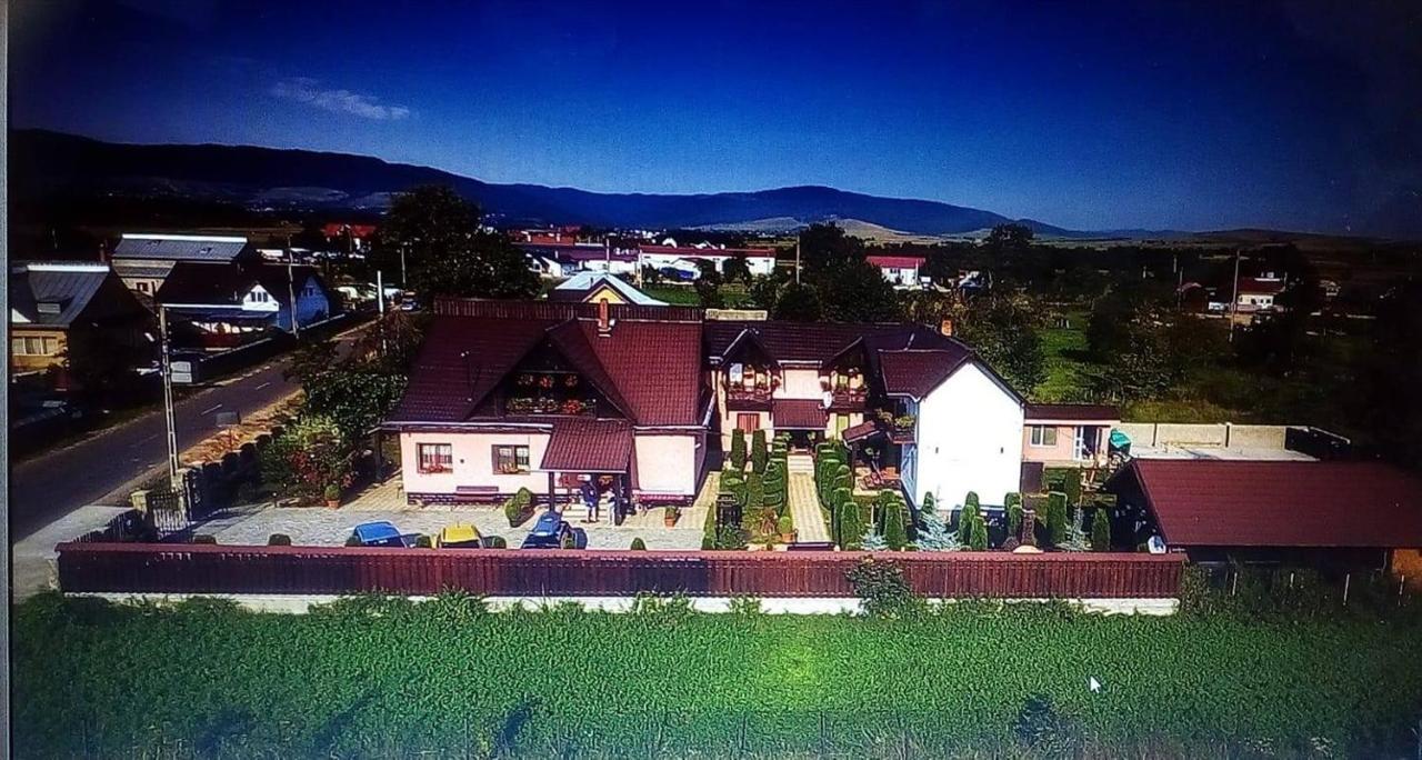 Pensiunea Denisa Sacalusesti Exterior foto