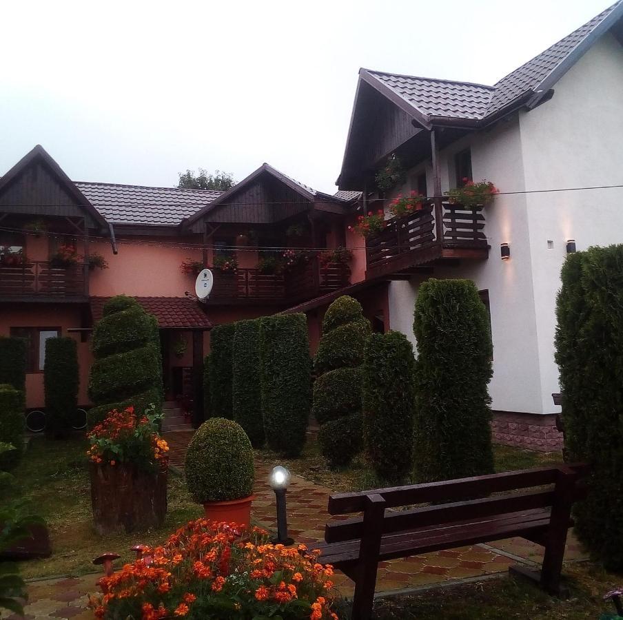 Pensiunea Denisa Sacalusesti Exterior foto